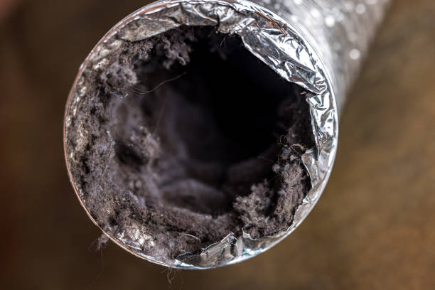 Best Air Duct Cleaning Near Me  in Silver City, NM